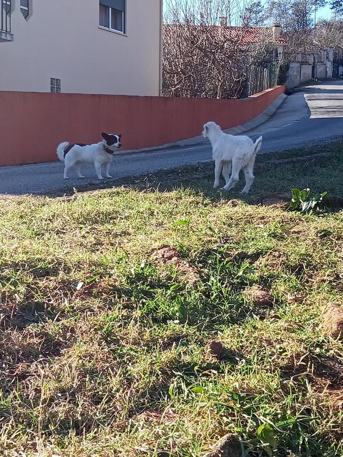 Alojamento Local - Casa Amarela Alvaiazere Luaran gambar